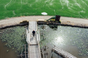 Paranet Tambak Ikan sebagai Peneduh Kolam dari Matahari!