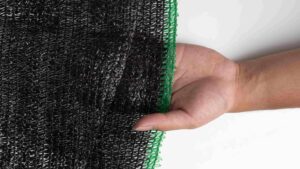 Paranet Grosir Ambon: Solusi untuk Reseller di Maluku