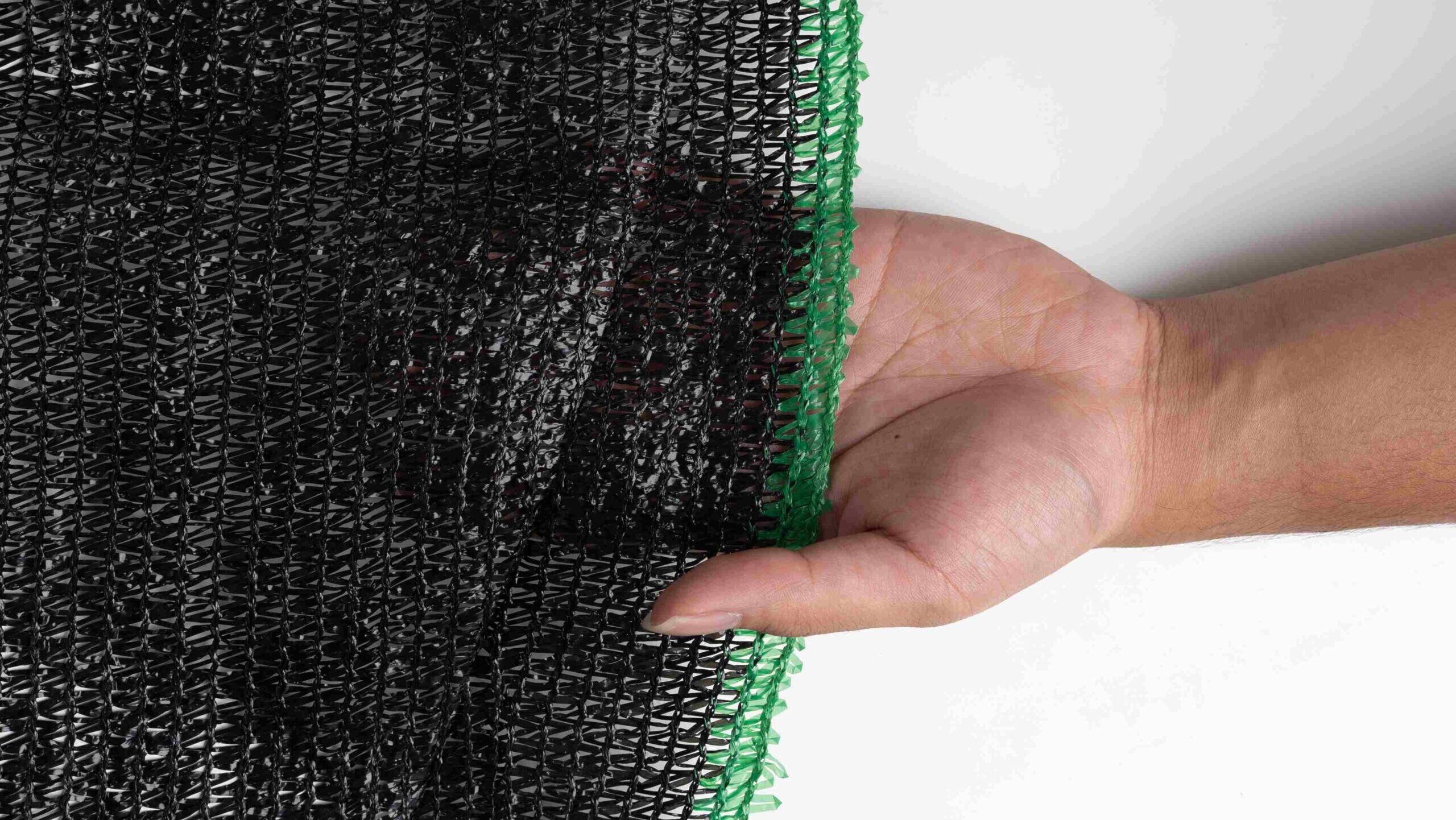 musim terbaik jual paranet