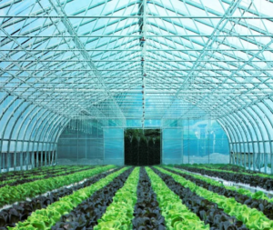 Supplier Paranet dengan Standar Industri Pertanian