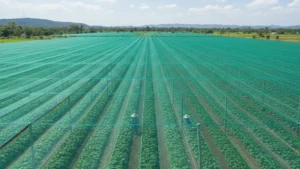 Peran Paranet dalam Menekan Risiko Kerusakan Tanaman