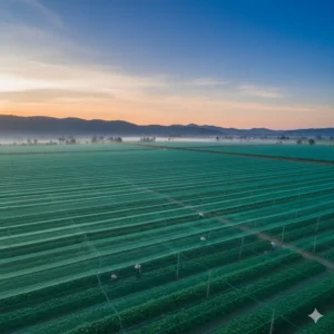 Spesifikasi Paranet untuk Proyek Pertanian Skala Besar