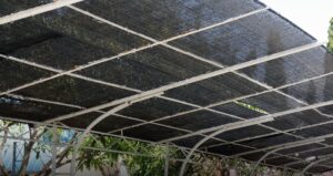 Peran UV Protection pada Paranet untuk Ketahanan Jangka Panjang