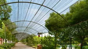 Kesalahan Umum Supplier Saat Menjual Paranet dan Cara Menghindarinya