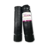 Maxima Maxora Transparent