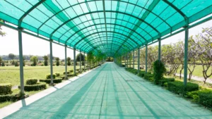 Distributor Paranet Semarang: Peluang & Skema Kerja Sama