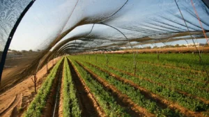 Supplier Paranet Gorontalo untuk Area Terbuka & Agrikultur